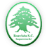 BOA